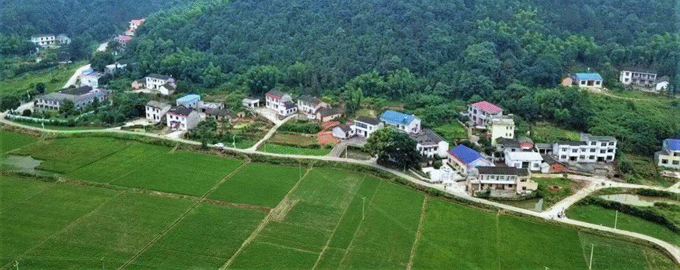 image014.gif